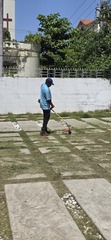 Ekology Service